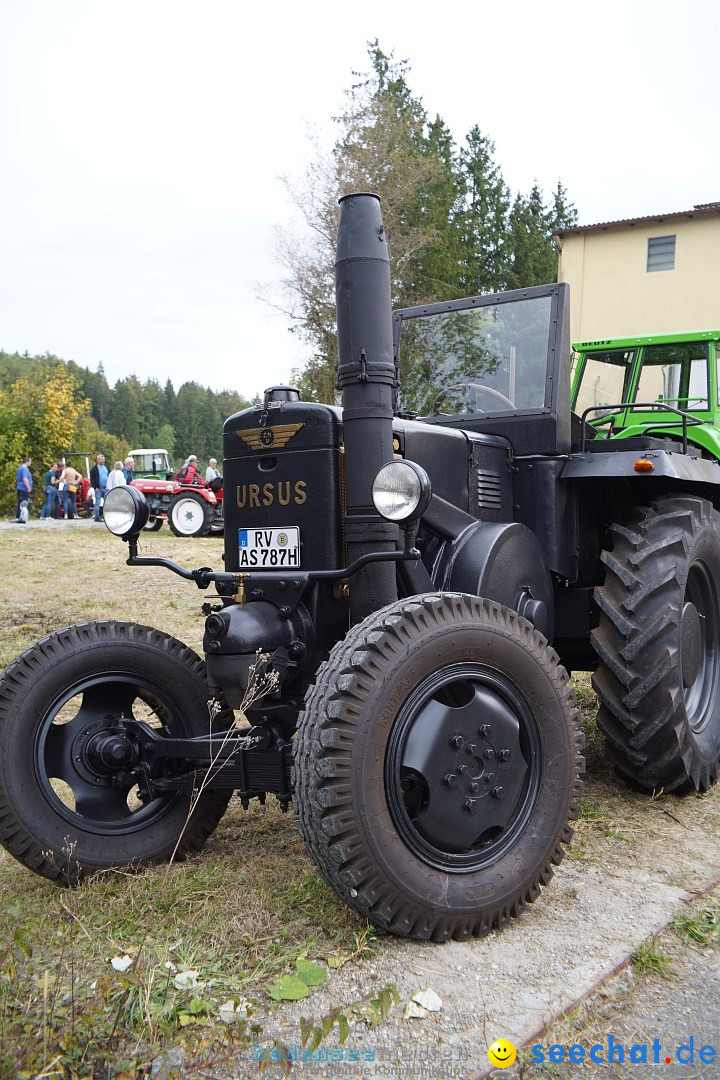 Oldtimer-Treffen: Koenigseggwald, 08.10.2023