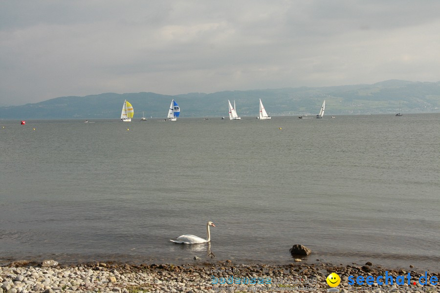 Matchrace Germany 2010: Langenargen am Bodensee, 21.05.2010