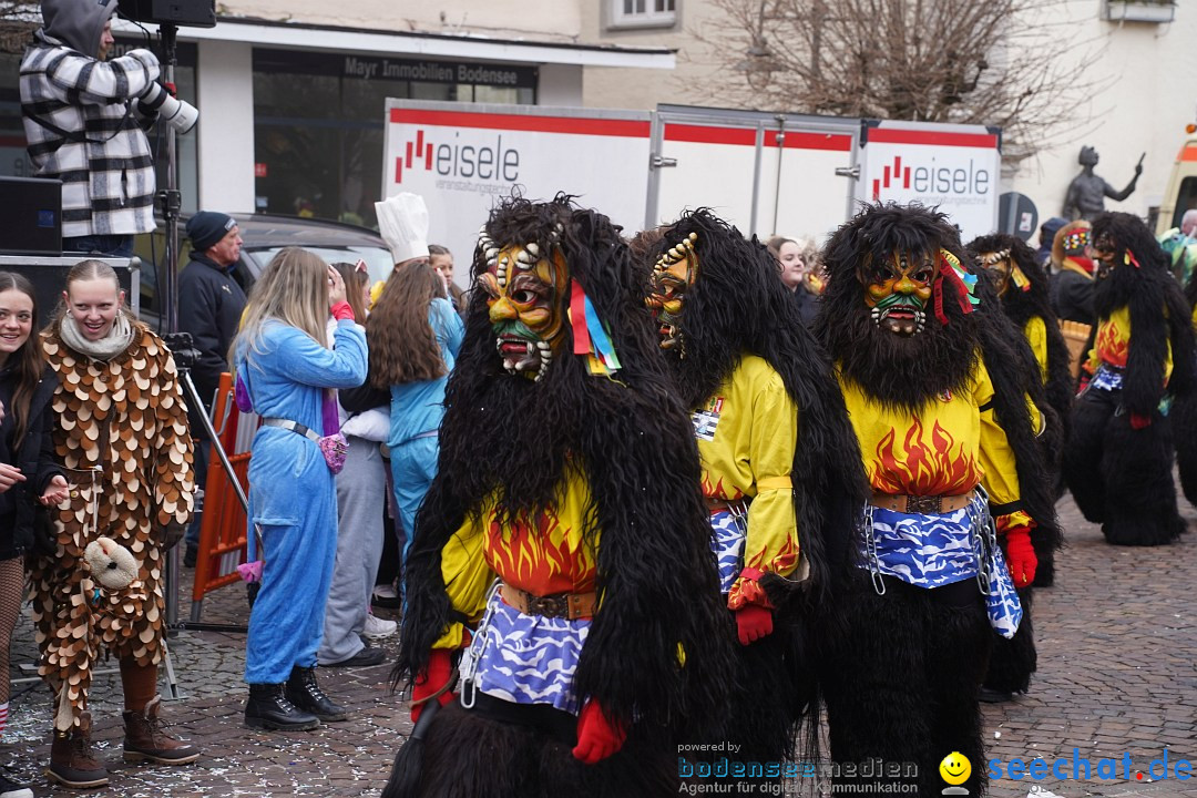 Narrenumzug: Langenargen am Bodensee, 14.01.2024