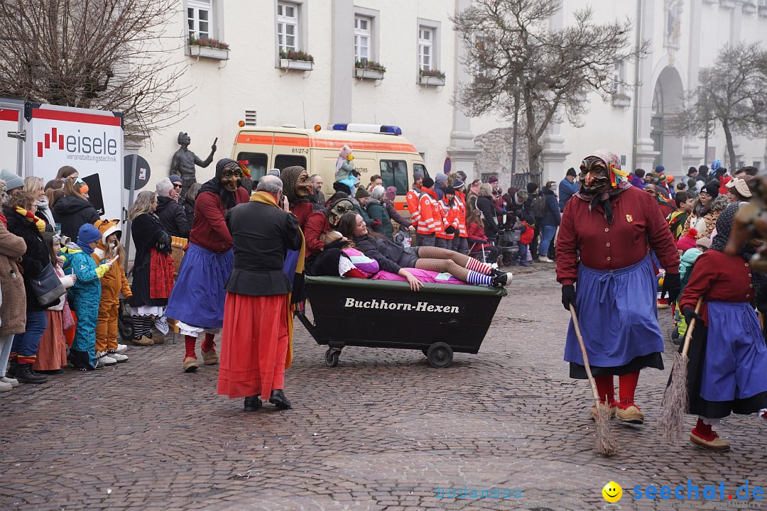 Narrenumzug: Langenargen am Bodensee, 14.01.2024