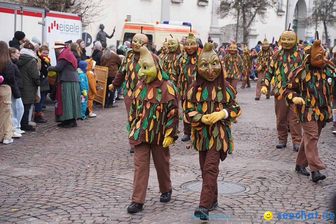 Narrenumzug: Langenargen am Bodensee, 14.01.2024