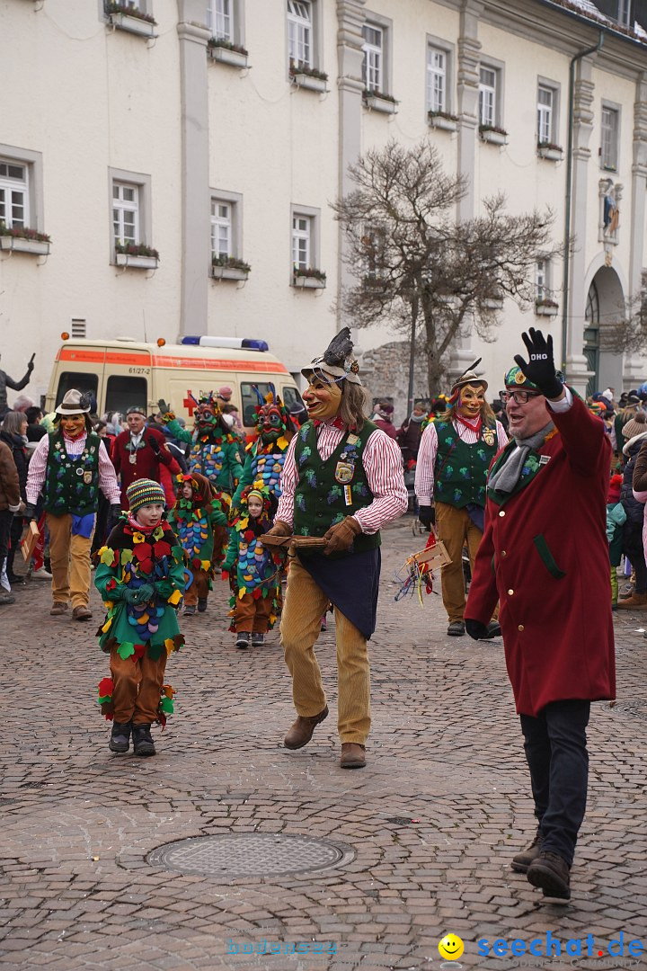 Narrenumzug: Langenargen am Bodensee, 14.01.2024