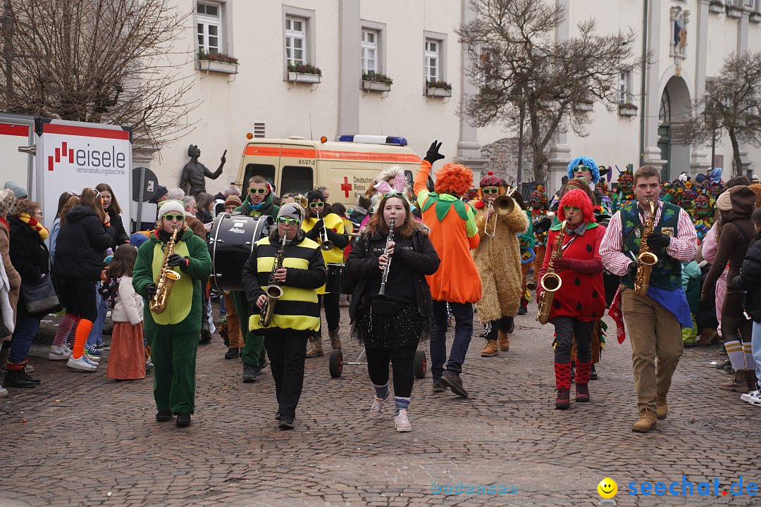 Narrenumzug: Langenargen am Bodensee, 14.01.2024