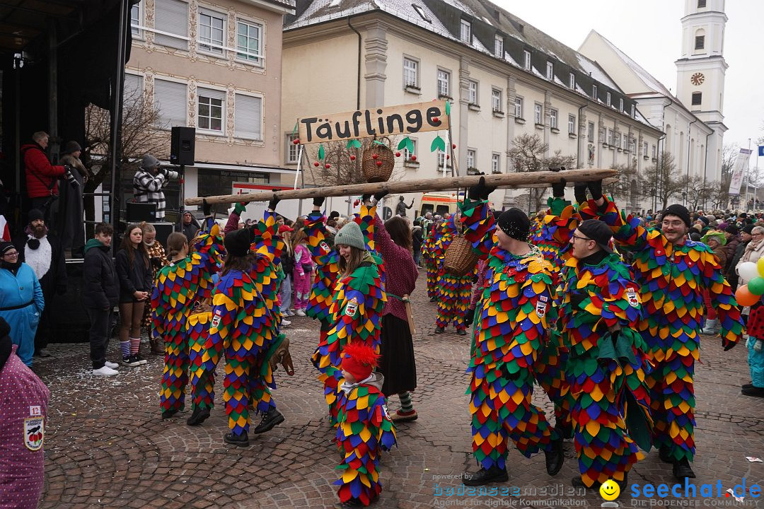 Narrenumzug: Langenargen am Bodensee, 14.01.2024