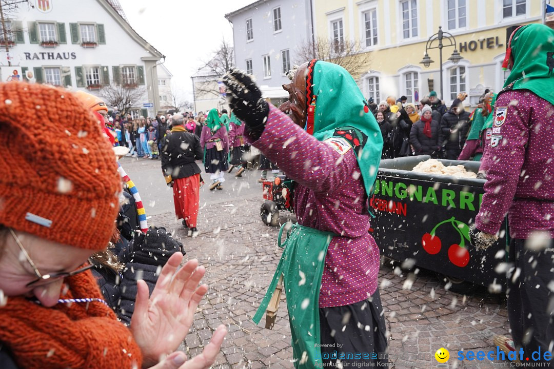 Narrenumzug: Langenargen am Bodensee, 14.01.2024