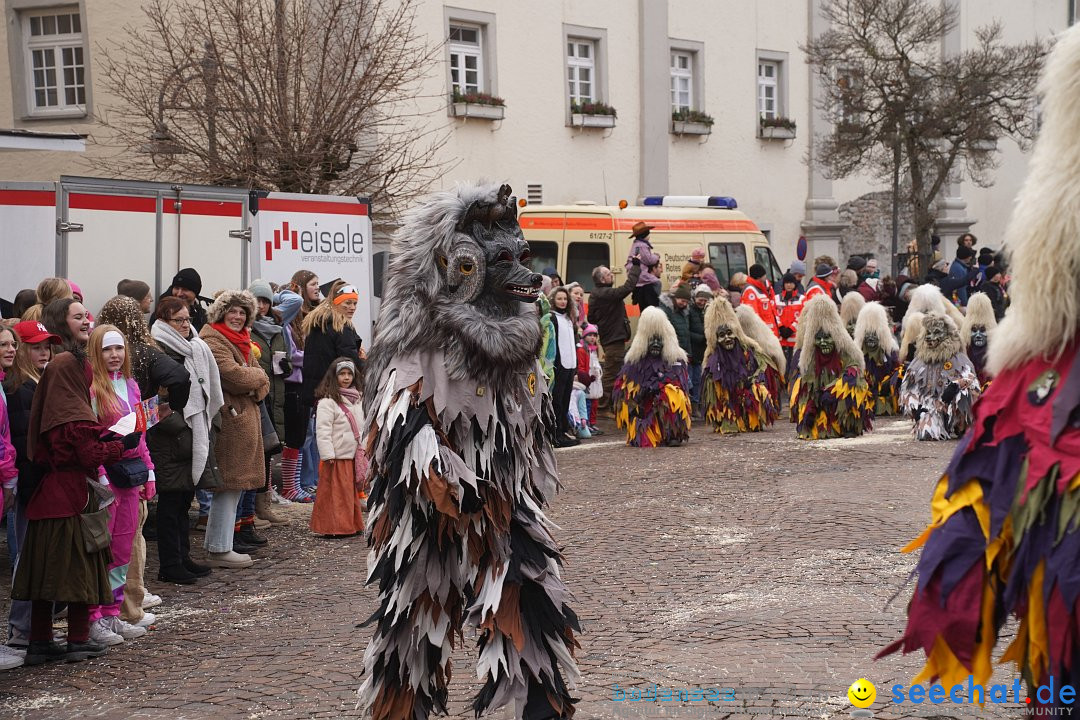 Narrenumzug: Langenargen am Bodensee, 14.01.2024