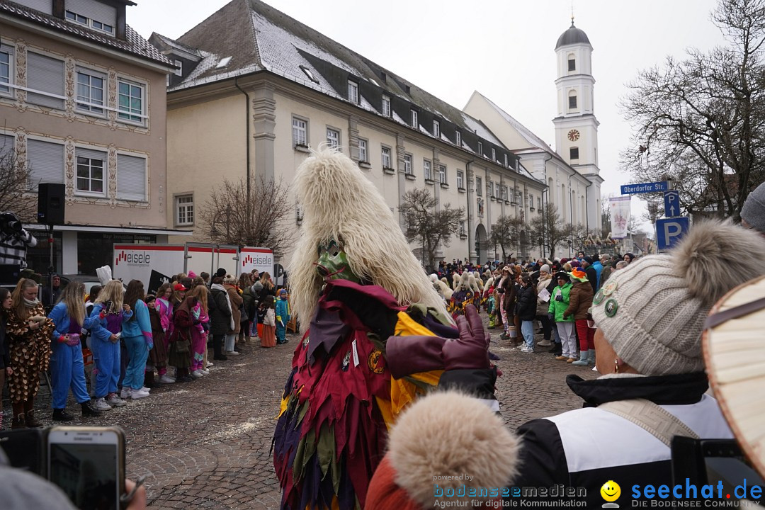 Narrenumzug: Langenargen am Bodensee, 14.01.2024