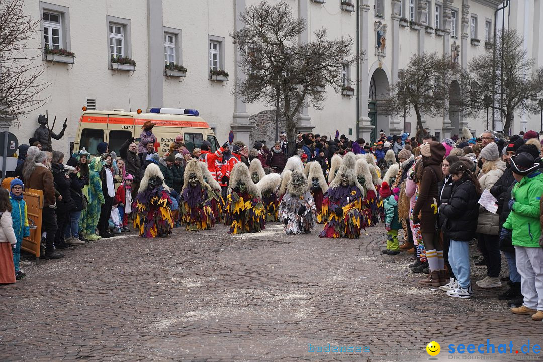 Narrenumzug: Langenargen am Bodensee, 14.01.2024