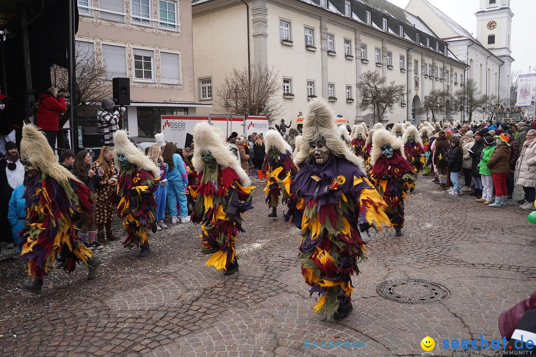 Narrenumzug: Langenargen am Bodensee, 14.01.2024