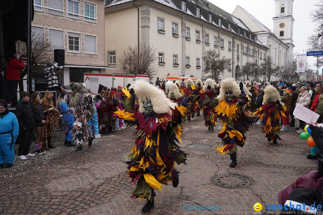 Narrenumzug: Langenargen am Bodensee, 14.01.2024