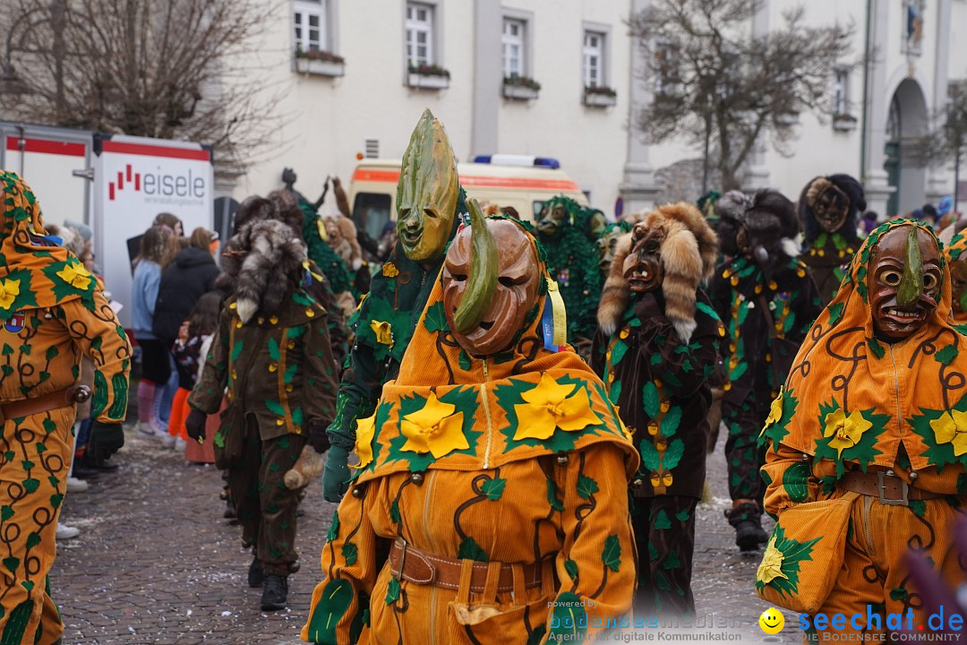 Narrenumzug: Langenargen am Bodensee, 14.01.2024