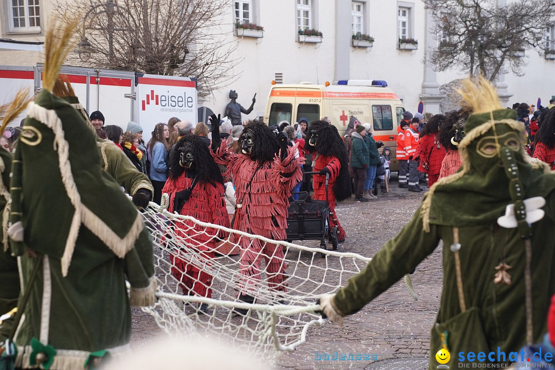 Narrenumzug: Langenargen am Bodensee, 14.01.2024