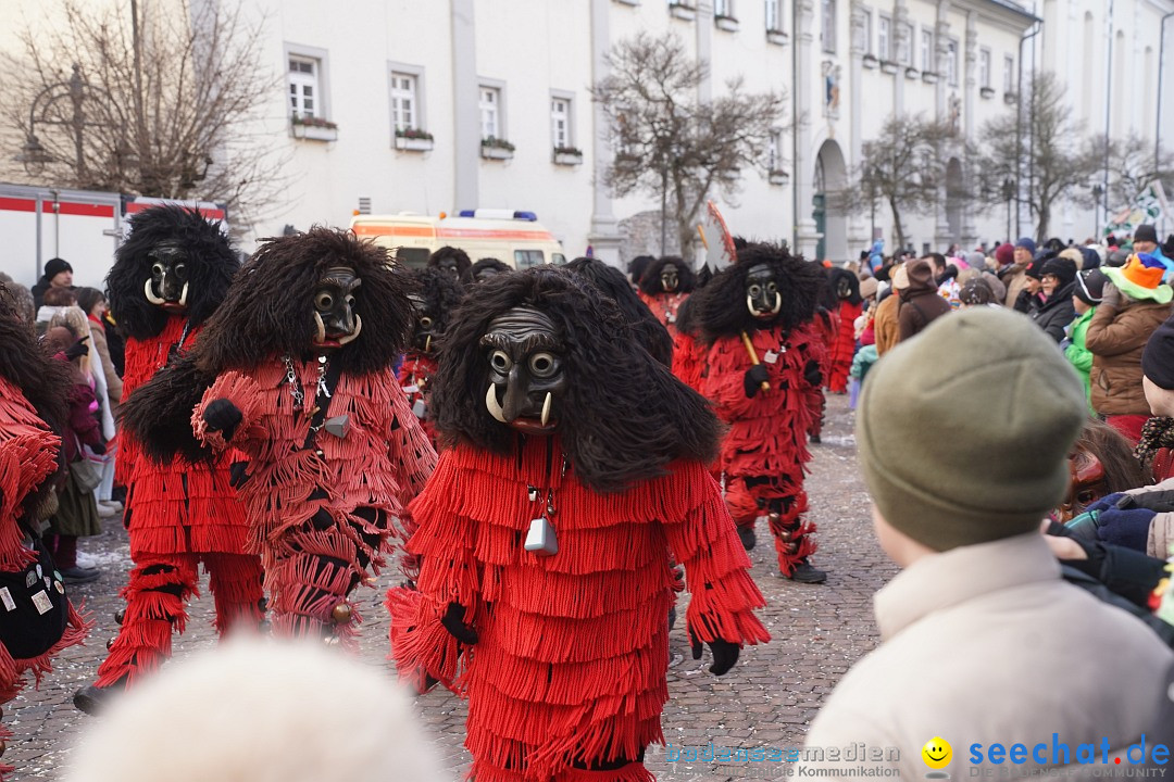 Narrenumzug: Langenargen am Bodensee, 14.01.2024