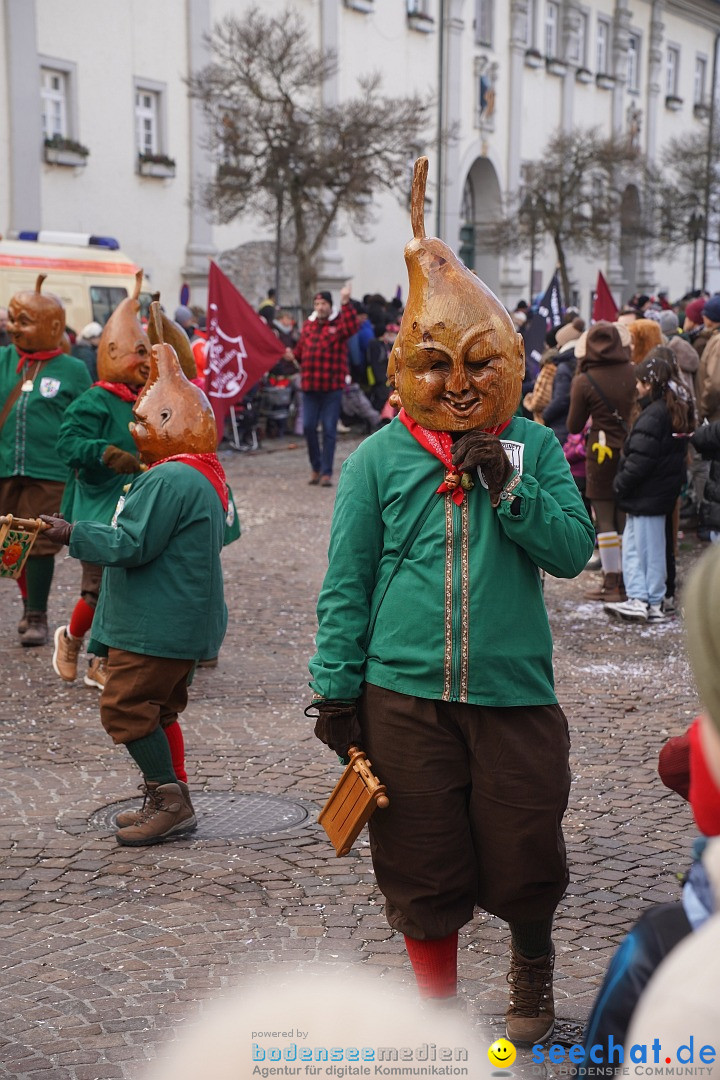 Narrenumzug: Langenargen am Bodensee, 14.01.2024