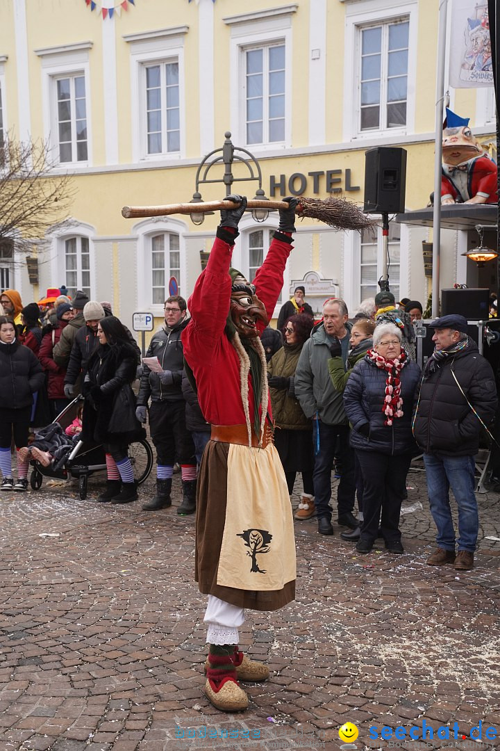 Narrenumzug: Langenargen am Bodensee, 14.01.2024