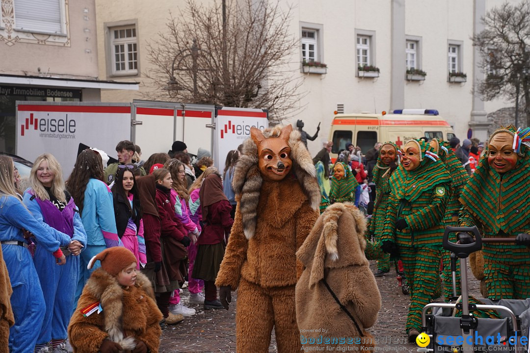 Narrenumzug: Langenargen am Bodensee, 14.01.2024