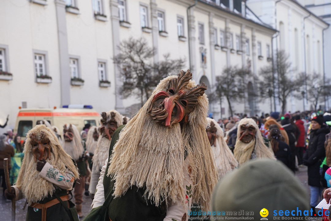 Narrenumzug: Langenargen am Bodensee, 14.01.2024