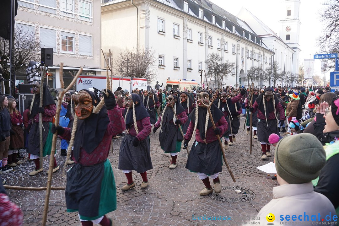 Narrenumzug: Langenargen am Bodensee, 14.01.2024