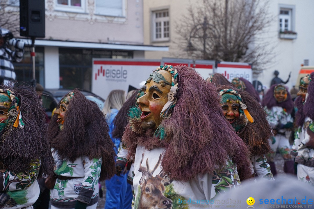 Narrenumzug: Langenargen am Bodensee, 14.01.2024