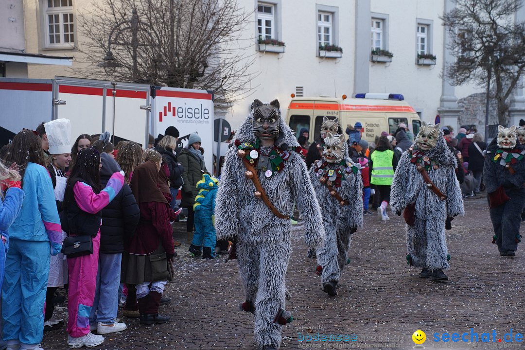 Narrenumzug: Langenargen am Bodensee, 14.01.2024