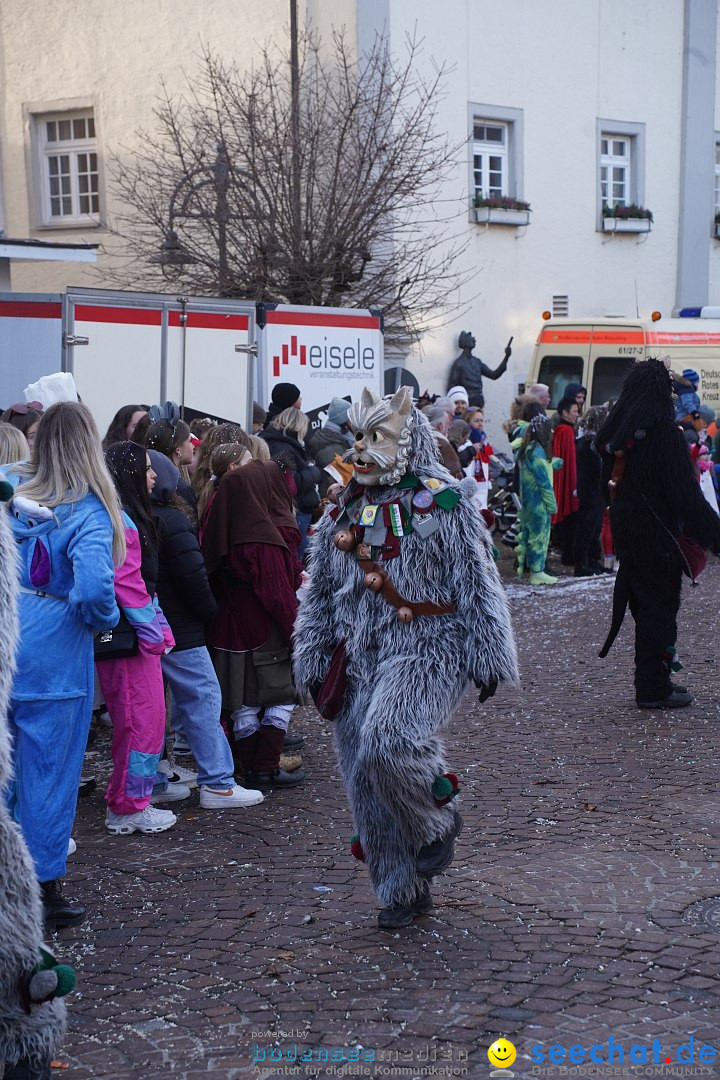 Narrenumzug: Langenargen am Bodensee, 14.01.2024