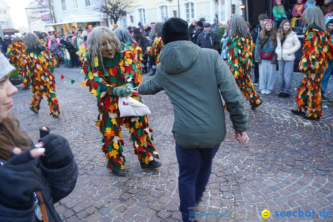 Narrenumzug: Langenargen am Bodensee, 14.01.2024