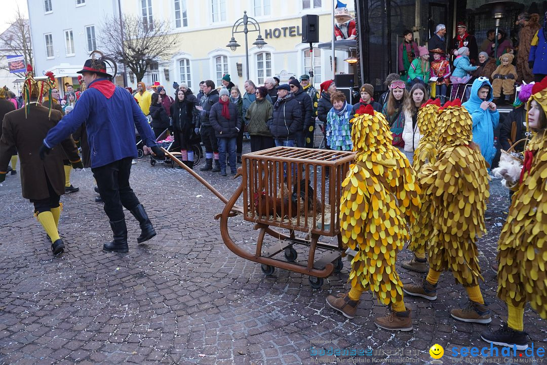 Narrenumzug: Langenargen am Bodensee, 14.01.2024