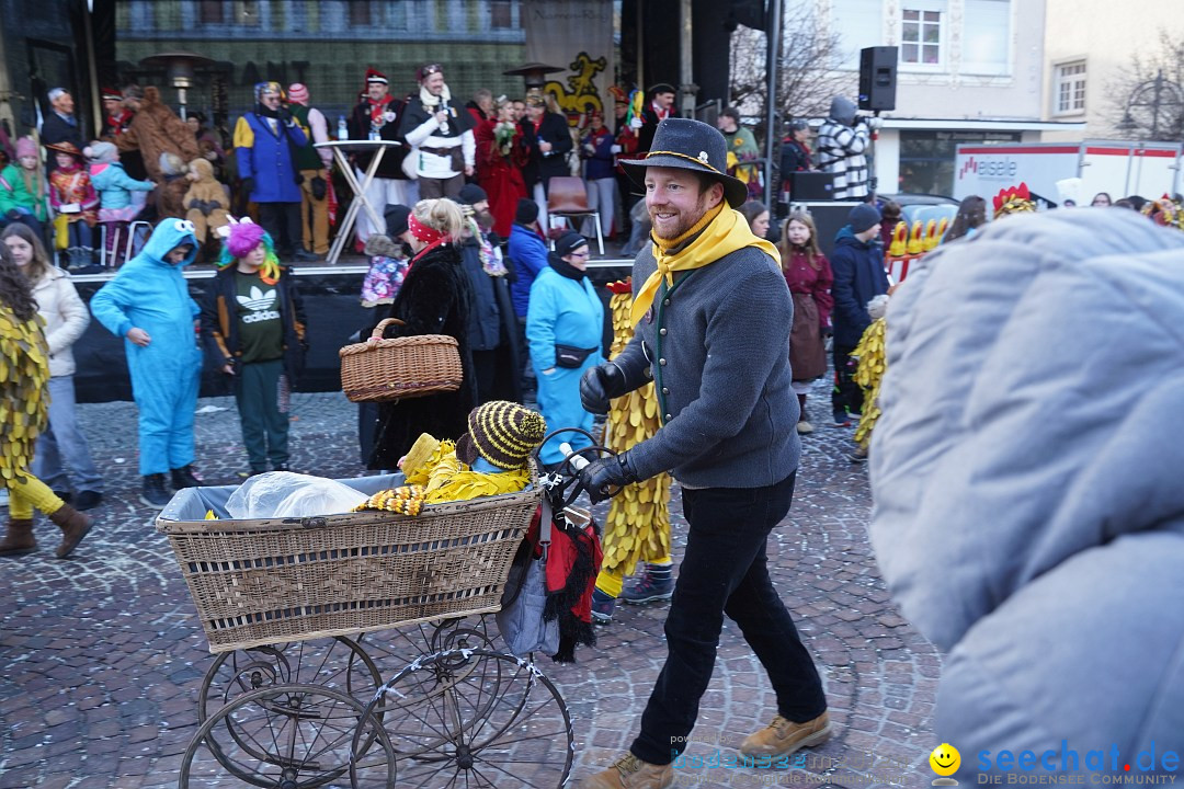 Narrenumzug: Langenargen am Bodensee, 14.01.2024