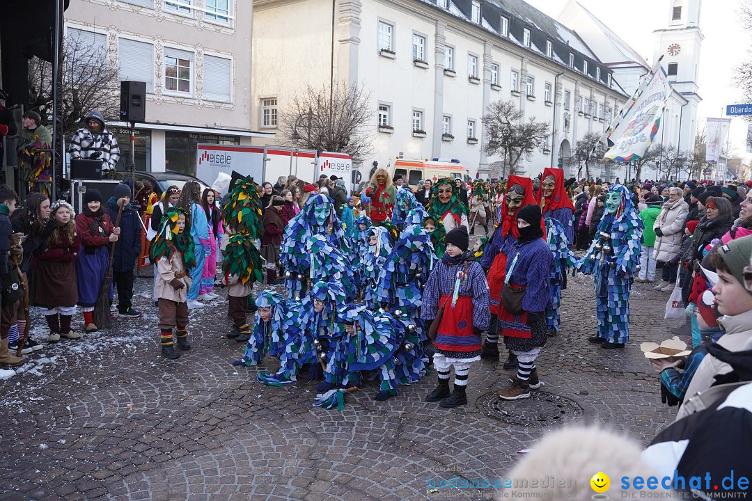 Narrenumzug: Langenargen am Bodensee, 14.01.2024