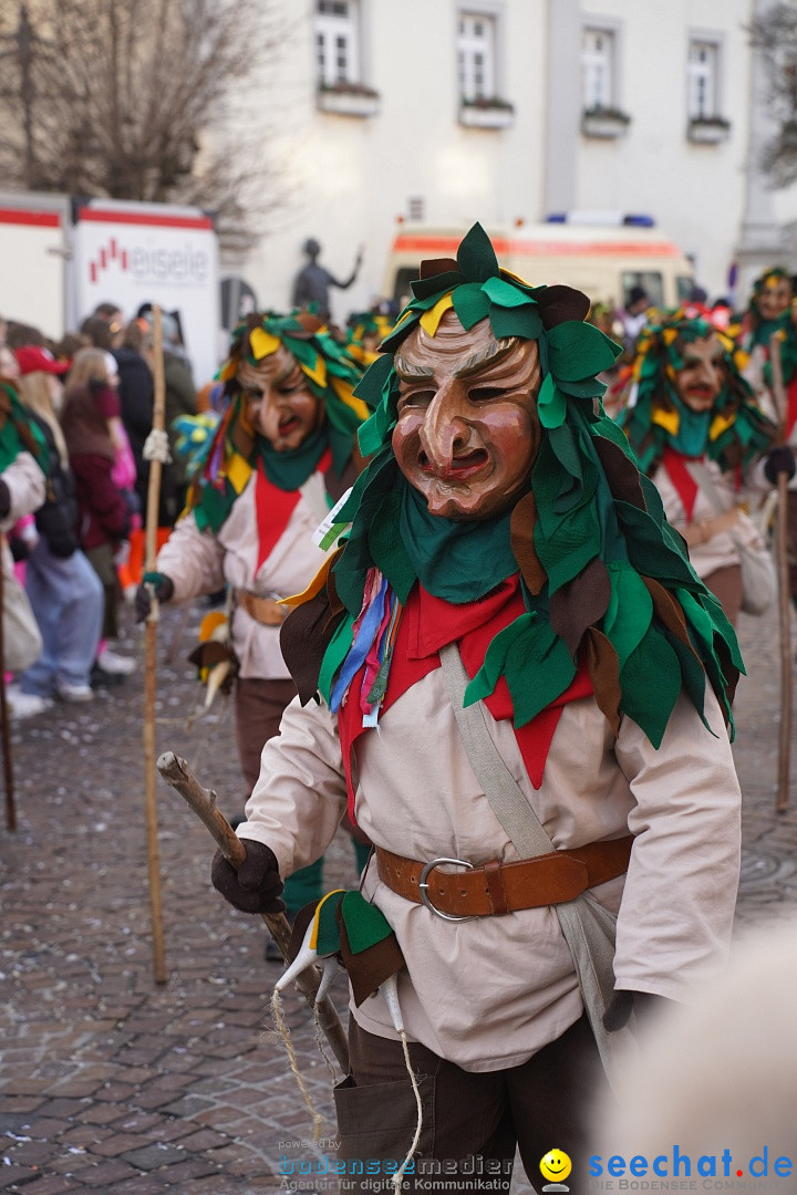 Narrenumzug: Langenargen am Bodensee, 14.01.2024