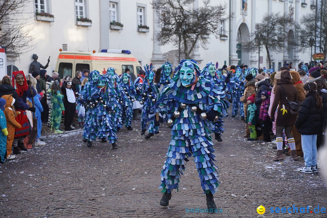 Narrenumzug: Langenargen am Bodensee, 14.01.2024