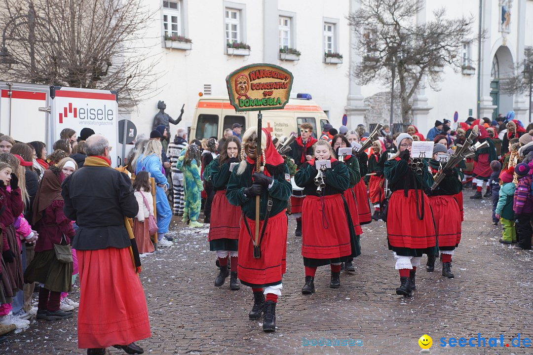 Narrenumzug: Langenargen am Bodensee, 14.01.2024