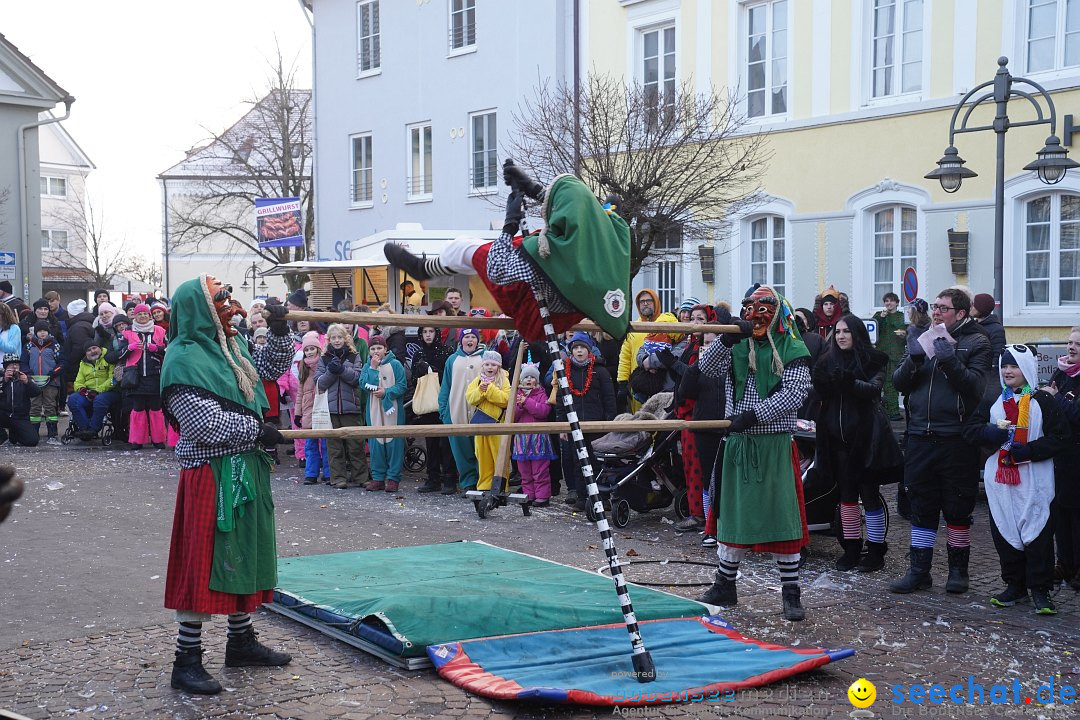 Narrenumzug: Langenargen am Bodensee, 14.01.2024