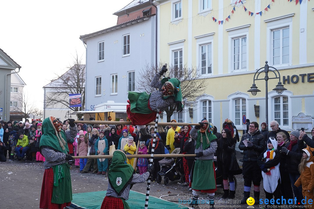 Narrenumzug: Langenargen am Bodensee, 14.01.2024