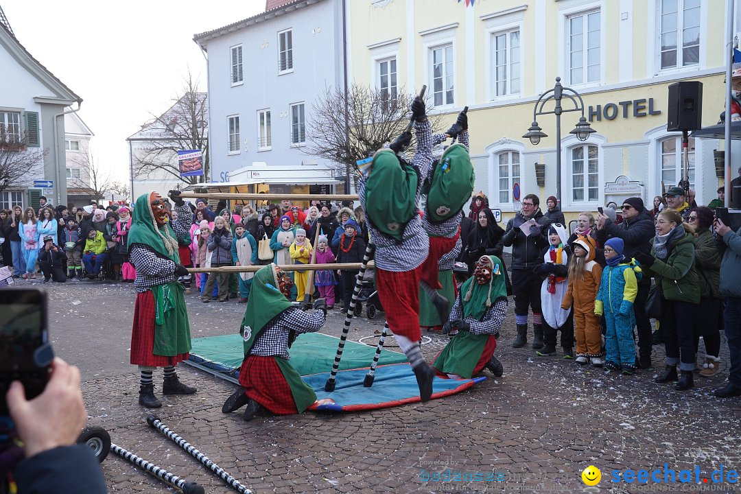 Narrenumzug: Langenargen am Bodensee, 14.01.2024