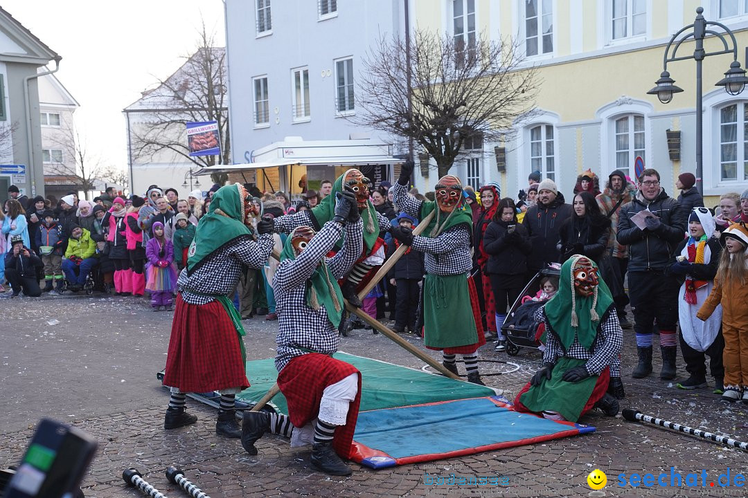 Narrenumzug: Langenargen am Bodensee, 14.01.2024