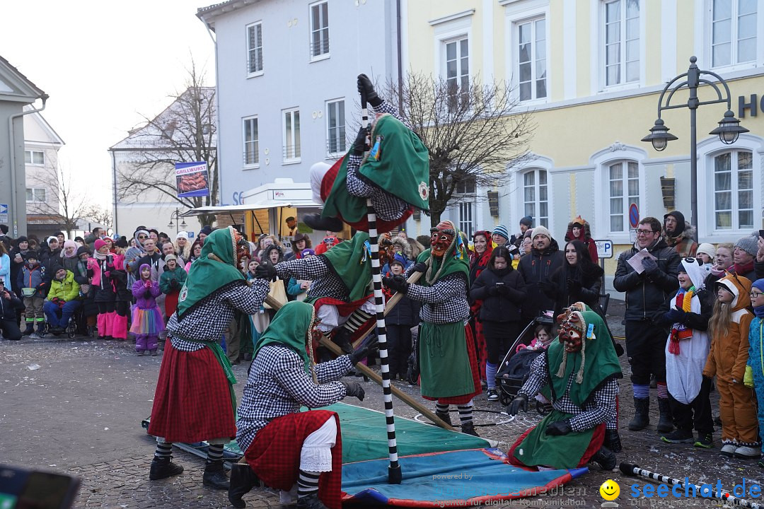 Narrenumzug: Langenargen am Bodensee, 14.01.2024