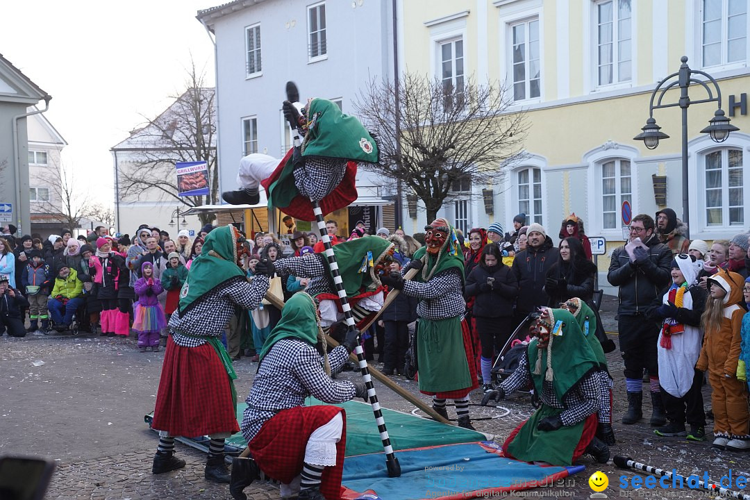 Narrenumzug: Langenargen am Bodensee, 14.01.2024