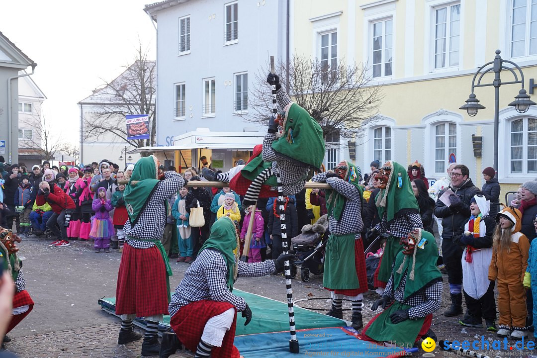 Narrenumzug: Langenargen am Bodensee, 14.01.2024