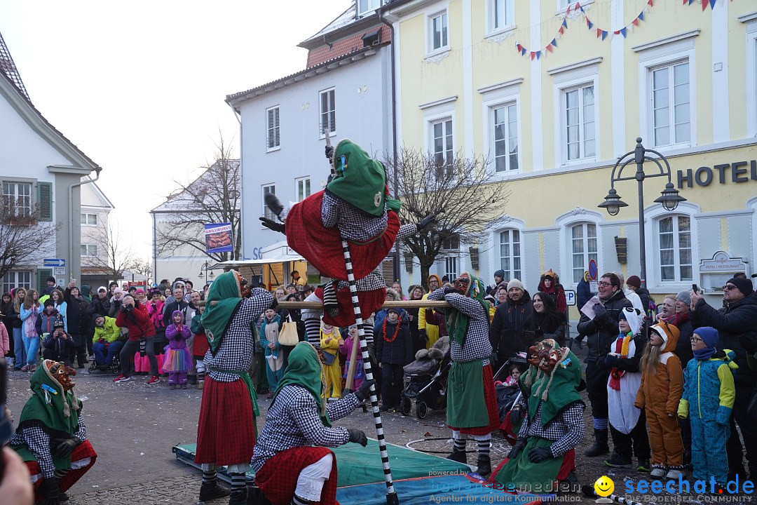 Narrenumzug: Langenargen am Bodensee, 14.01.2024