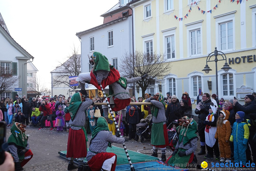 Narrenumzug: Langenargen am Bodensee, 14.01.2024