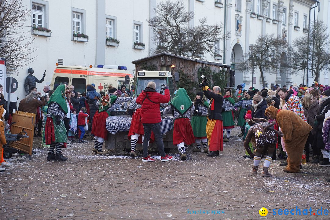 Narrenumzug: Langenargen am Bodensee, 14.01.2024