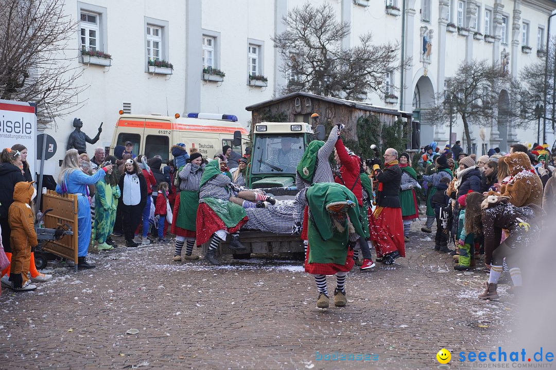 Narrenumzug: Langenargen am Bodensee, 14.01.2024