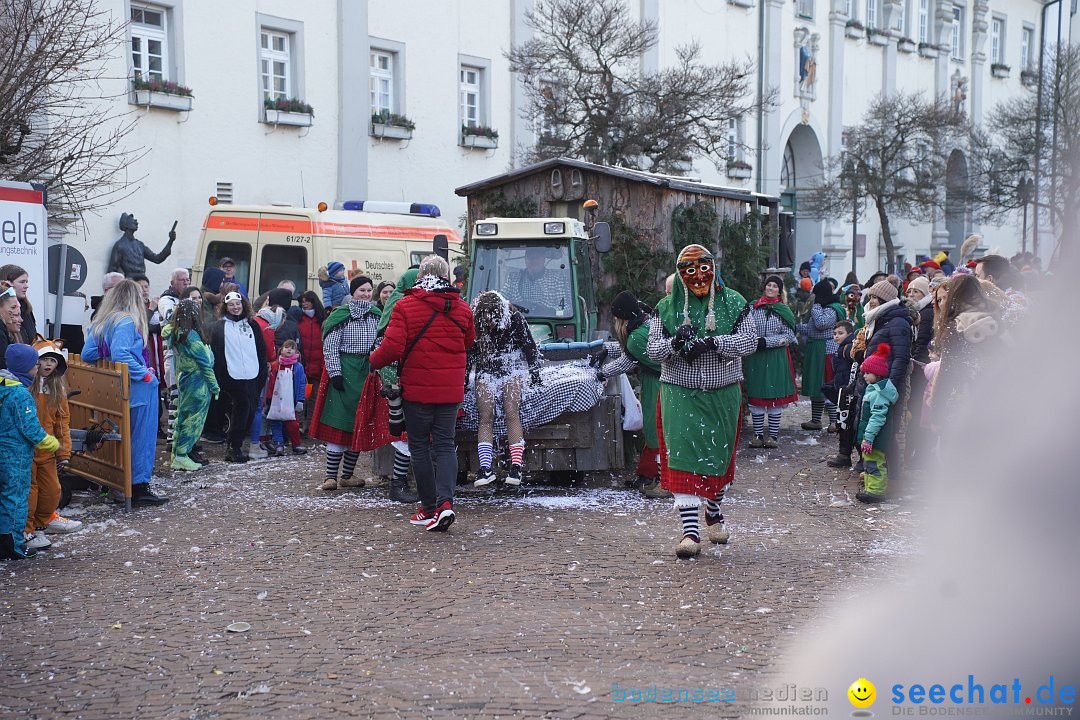 Narrenumzug: Langenargen am Bodensee, 14.01.2024