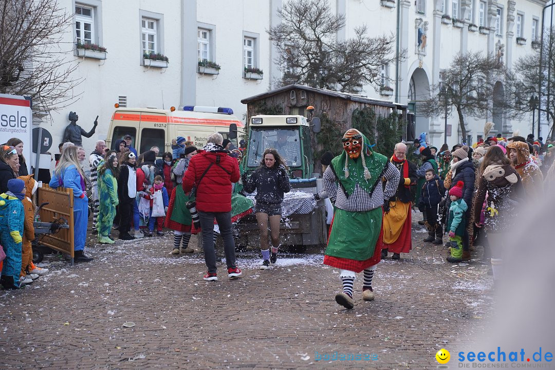 Narrenumzug: Langenargen am Bodensee, 14.01.2024