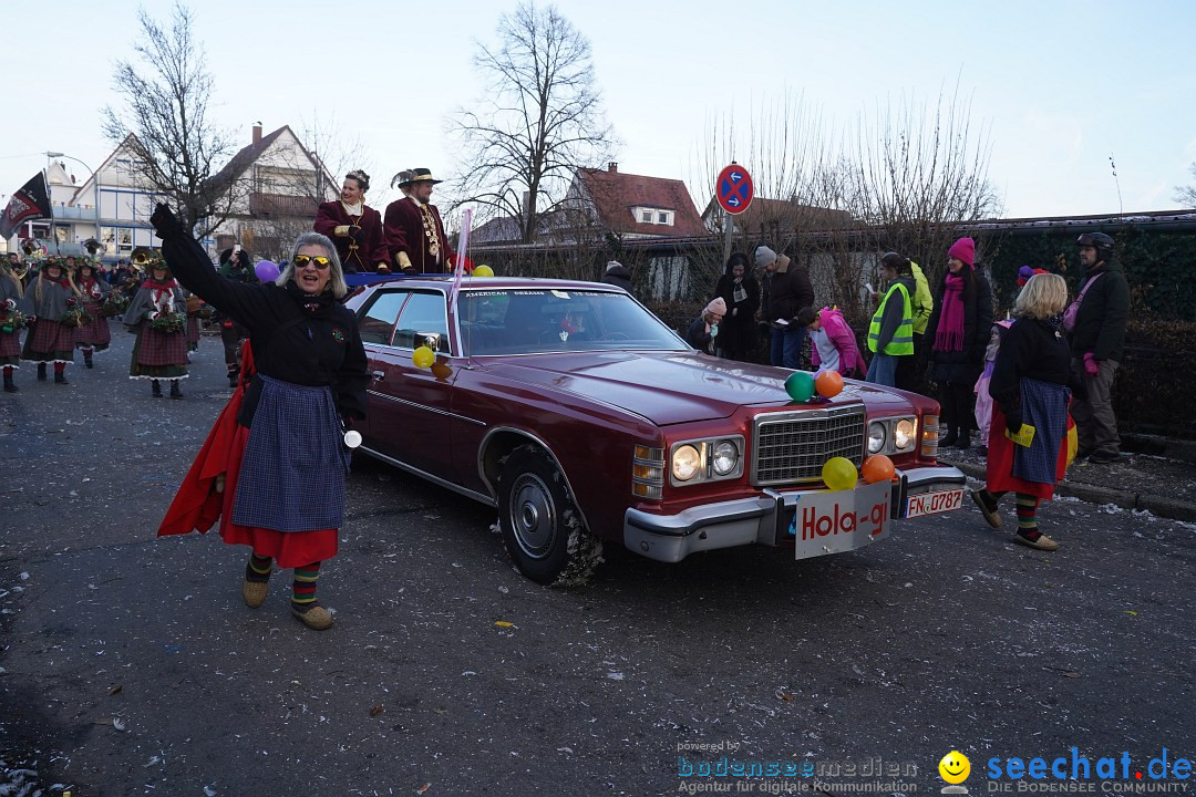 Narrenumzug: Langenargen am Bodensee, 14.01.2024