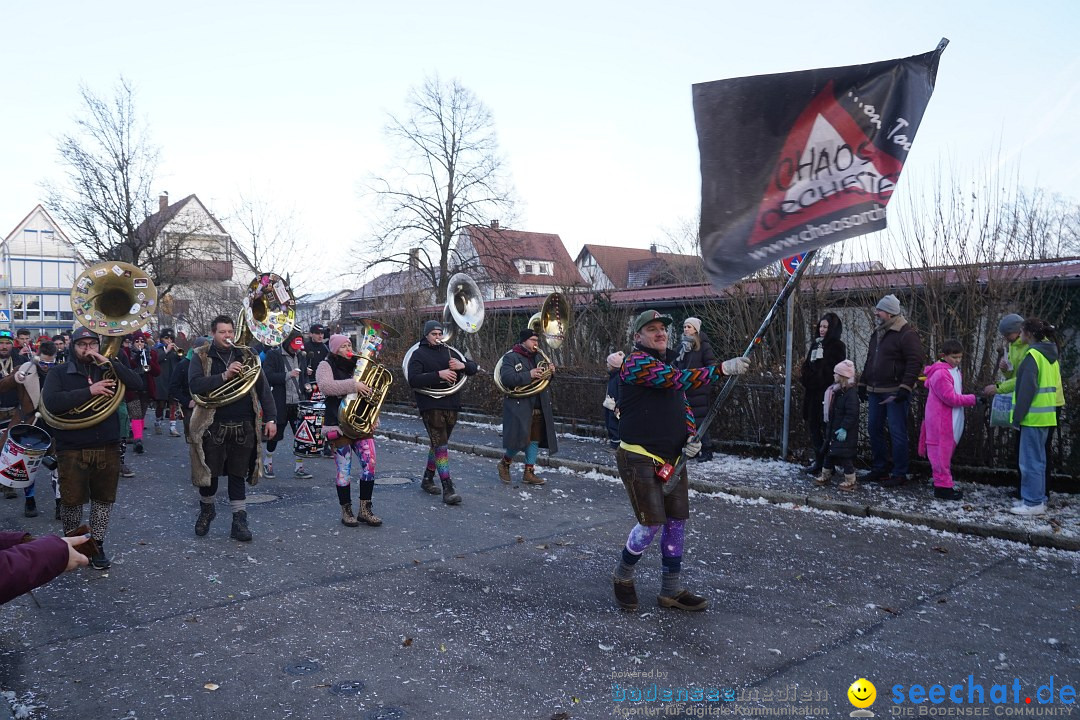 Narrenumzug: Langenargen am Bodensee, 14.01.2024