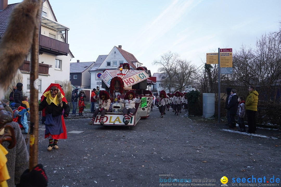 Narrenumzug: Langenargen am Bodensee, 14.01.2024