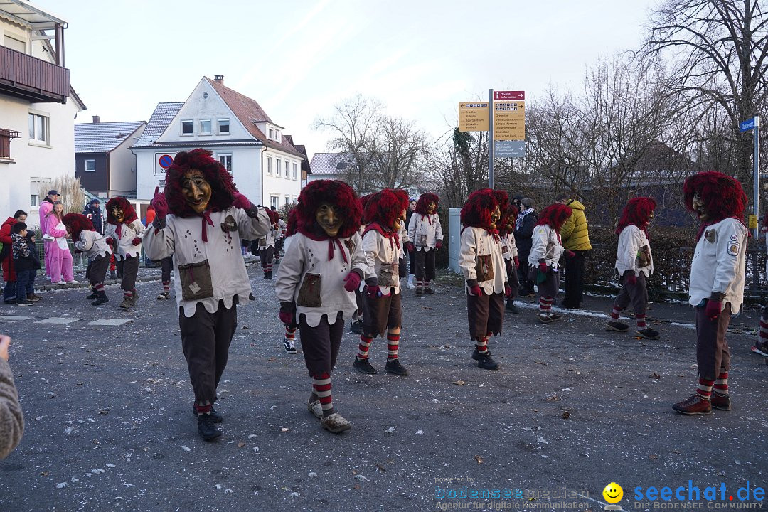 Narrenumzug: Langenargen am Bodensee, 14.01.2024