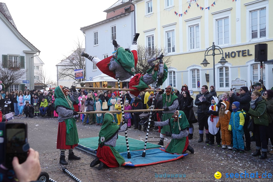 Narrenumzug: Langenargen am Bodensee, 14.01.2024